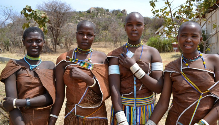 When to Visit for Ideal Safari Conditions