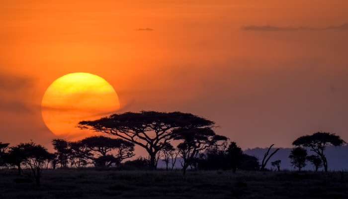 Essential Safari Packing List