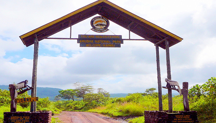 Tanzania Safaris