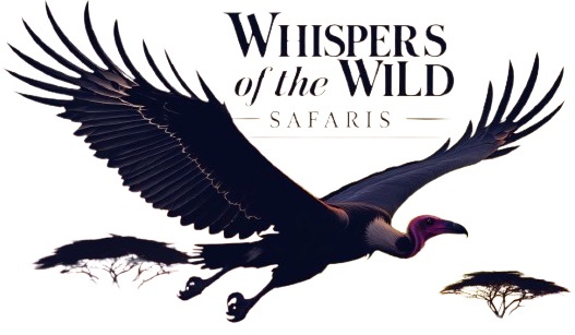 whispers of the wild safaris