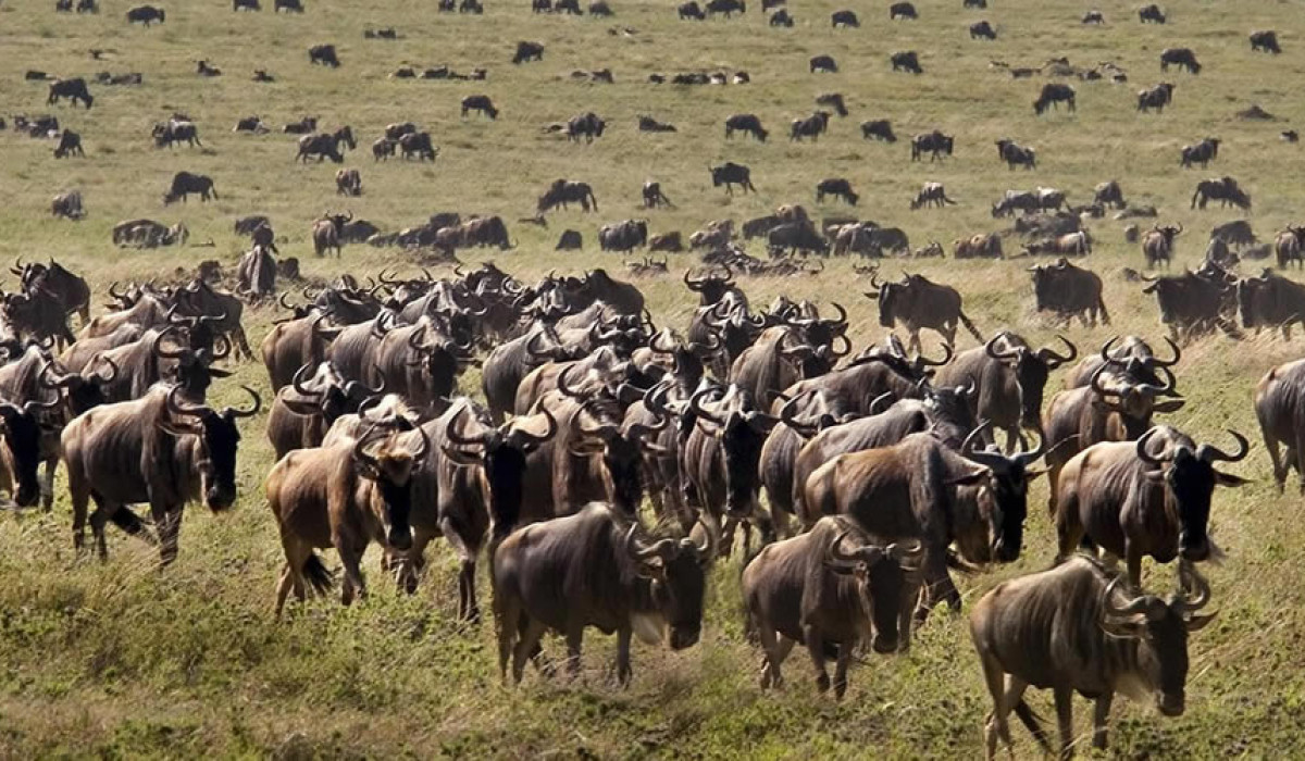 Serengeti National Park