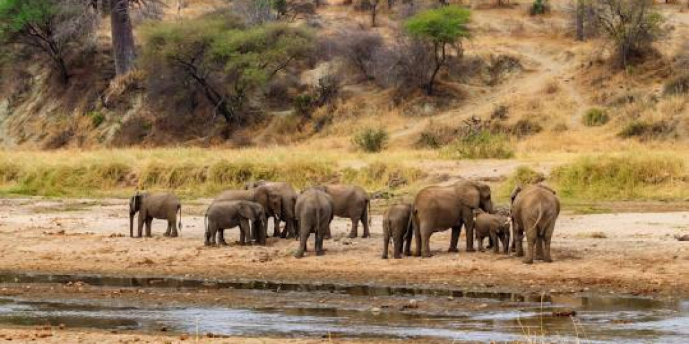 Tarangire National Park
