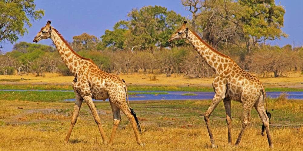 Arusha National Park